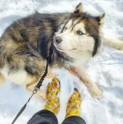 Bottes De Pluie Imperméables Pour Femmes - Boue Mi-mollet Mignon & Amp; Bottes De Boue Avec Semelle Intérieure Premium Comfort 11 Bottes De Pluie Imperméables Pour Femmes - Boue Mi-mollet Mignon & Amp; Bottes De Boue Avec Semelle Intérieure Premium Comfort -Des chaussures d'hiver Soldes Magasin 71Zwb8gpQvL. AC UL1500