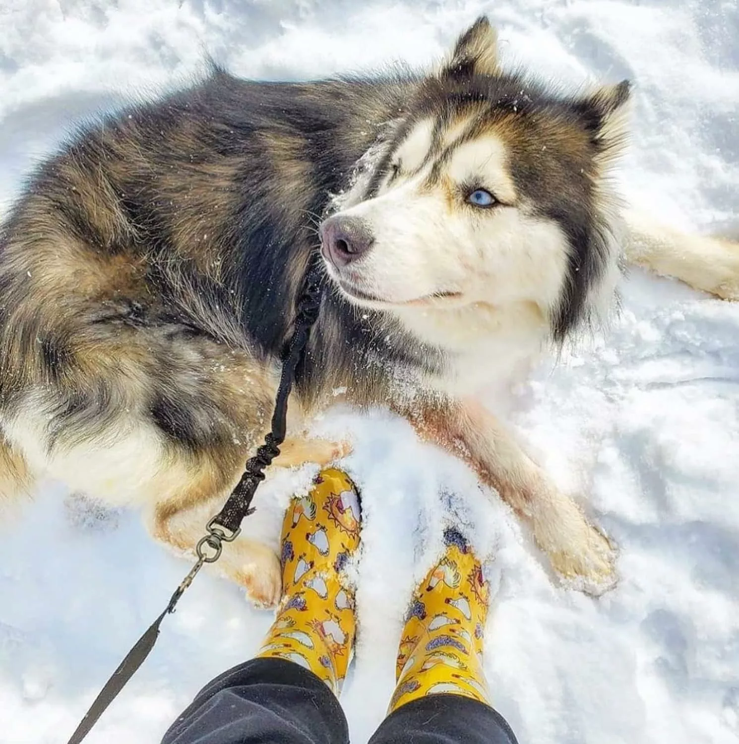 Bottes De Pluie Imperméables Pour Femmes - Boue Mi-mollet Mignon & Amp; Bottes De Boue Avec Semelle Intérieure Premium Comfort 5 Bottes De Pluie Imperméables Pour Femmes - Boue Mi-mollet Mignon & Amp; Bottes De Boue Avec Semelle Intérieure Premium Comfort – Image 3