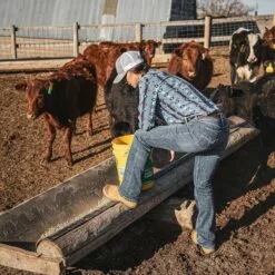 Bottes De Travail ROCKROOSTER Gammon Pour Hommes, 6 & # 34; Bottes Chelsea En Acier, Bottes De Sécurité Pour Blé, Anti-fatigue, Cuir Nubuck, Non Slip, Respirant, Confort, AK222 -Des chaussures d'hiver Soldes Magasin 91a HTQjwiL. AC UL1500